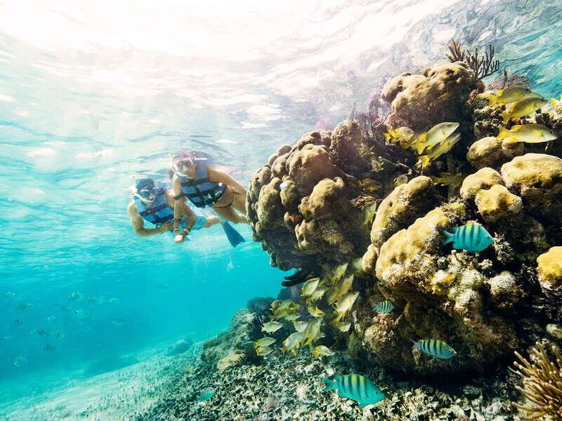 Cancun: 2Hour Speedboat Experience - Why This Tour Offers Great Value