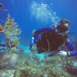 Cancun: 3 Days SDI Open Water Diver Certification - Detailed Breakdown of the Experience
