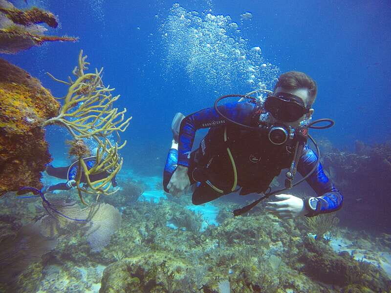 Cancun: 3 Days SDI Open Water Diver Certification - Detailed Breakdown of the Experience