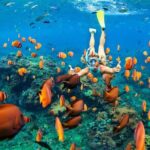 Cancun 6 in 1 Snorkeling Tour: MUSA, Shipwreck, Reefs & Cenotes - El Meco Reef: A Colorful Introduction