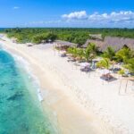 Cancun Airport and Beach Palace Resort Cancun Private Shuttle - Detailed Breakdown of the Experience