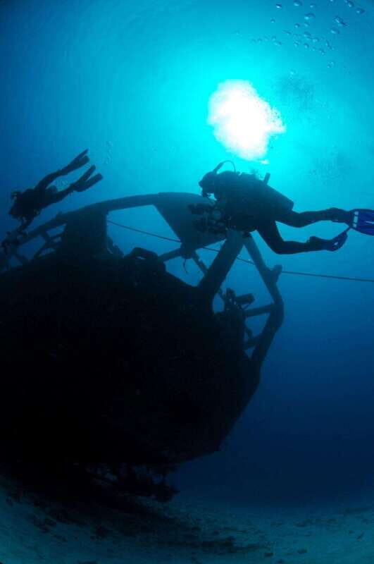 Cancun: Angelfish Discovery Package - Why This Tour Offers Good Value