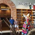 Cancun: Bus Tour - City Adventure around the Best Stops - Introduction to the Experience