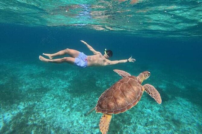 Cancun Catamaran: Sail to Isla Mujeres + Buffet & Drinks - The Real Traveler Experience