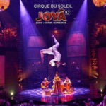 Cancún: Cirque du Soleil JOYÀ Entry Ticket and Transfer - The Experience: What to Expect