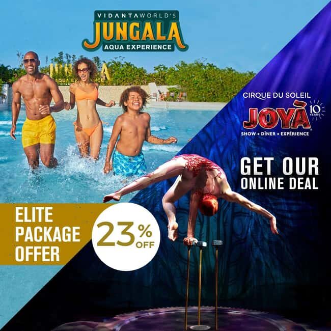 Cancún: Cirque du Soleil JOYÀ Ticket - An Inside Look at JOYÀ: What to Expect