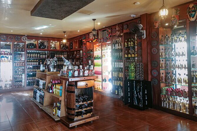 Cancun City Adventure! Private Half Day Tour - Practical Details and Logistics