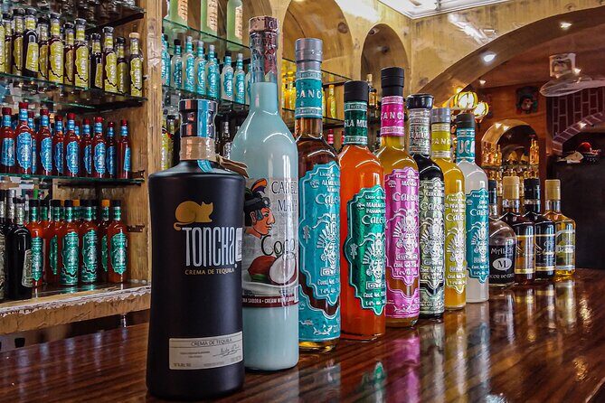 Cancun City Private Half-Day Guided Tour - FAQs