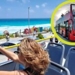 Cancun City Tour by Downtown and Turistic Hightlights on Open Bus - Who Will Appreciate This Tour?