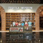 Cancun City Tour + El Meco Ruins Round Transportation - The Highlights That Make It Stand Out