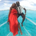 Cancun Clear Boat Tour Explore the Caribbean Sea - Wildlife You May Encounter