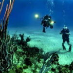 Cancún: Cozumel 2-Tank Diving Tour with Lunch & Transfers - Value and Pricing Considerations