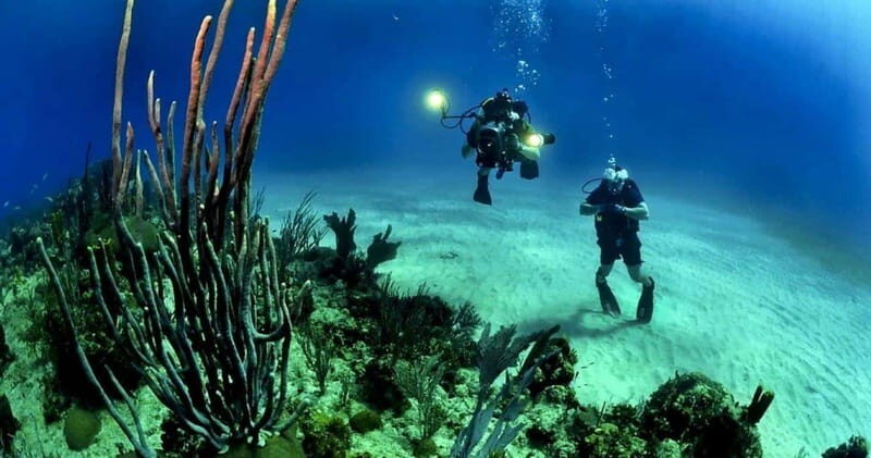 Cancún: Cozumel 2-Tank Diving Tour with Lunch & Transfers - Value and Pricing Considerations