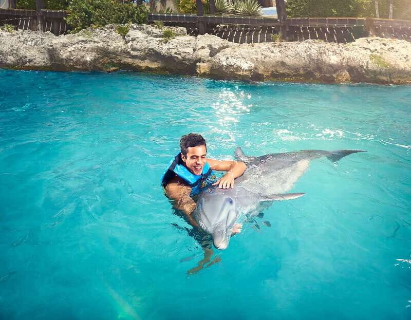 Cancún: Dolphin Encounter on Isla Mujeres with Buffet - Authentic Experiences and Practical Tips