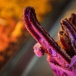 Cancun: Flavors of Mexico, Taco and Beer Tasting Tour - A Culinary Journey Through Cancun