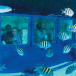Cancún: Hop-on Hop-off Bus Tour with Submarine Trip - The Itinerary in Detail