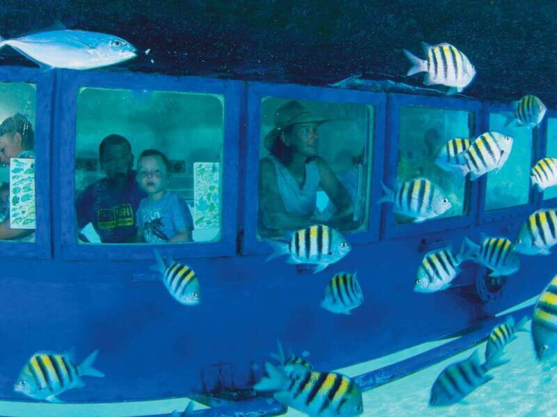 Cancún: Hop-on Hop-off Bus Tour with Submarine Trip - The Itinerary in Detail
