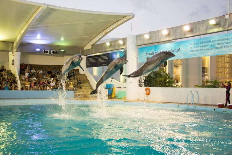Cancún Interactive Aquarium Admission + Dolphin Presentation - Who Would Love This Experience?
