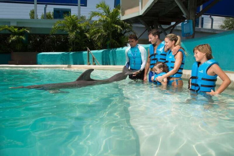Cancun: Interactive Aquarium Ticket and Swim with Dolphins - Exploring the Experience in Detail