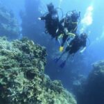 Cancun: Open water diver course in Cancun - isla Mujeres - Who Should Consider This Course?