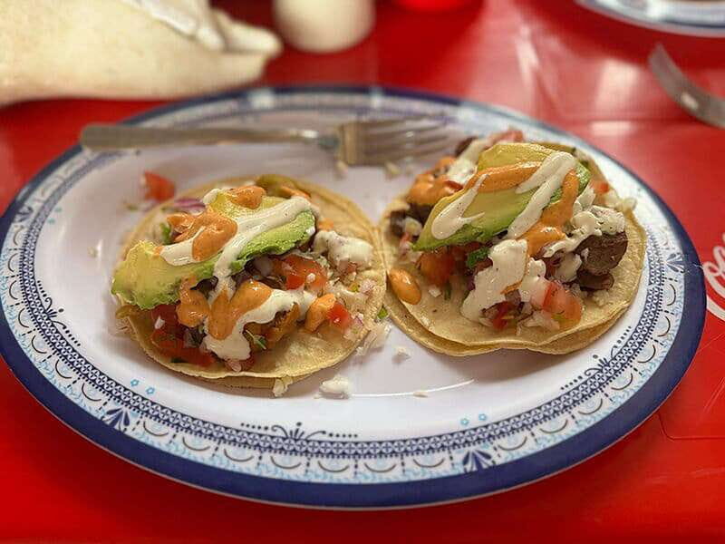 Cancún: Puerto Morelos City & Taco Tour - Practical Details That Matter