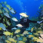 Cancun: Scuba Diving for Certified Divers, 3 options to dive - What’s Included and What’s Not