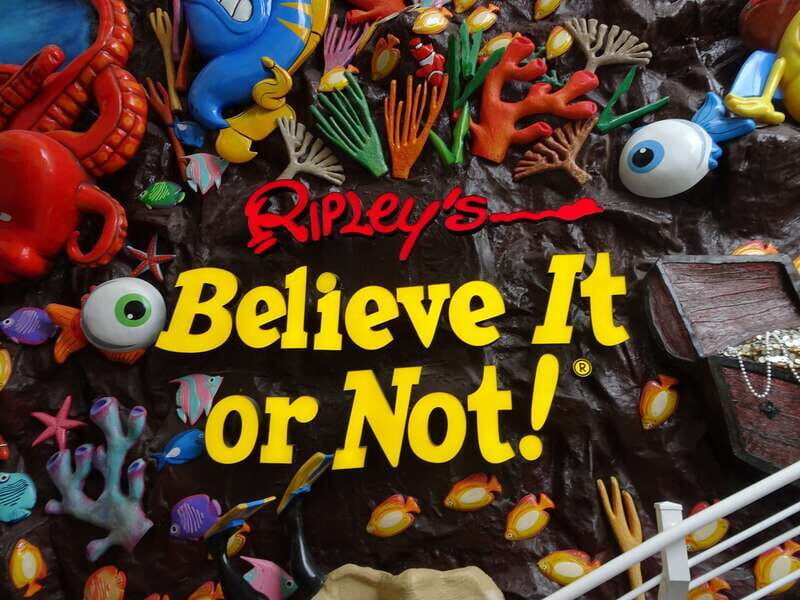 Cancún: Sky Wheel Pass GO - Who Should Consider This Tour?