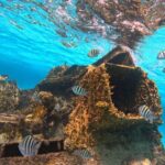 Cancun Snorkeling Adventure - Authentic Experiences and Reviews
