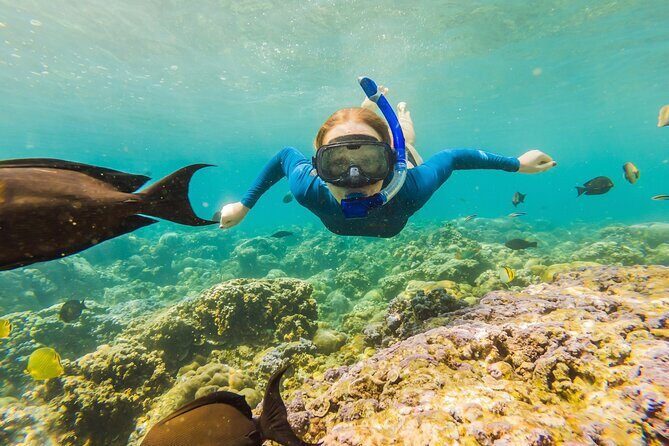 Cancun: Snorkeling Adventure at Puerto Morelos Reef - Who This Tour Is Best For