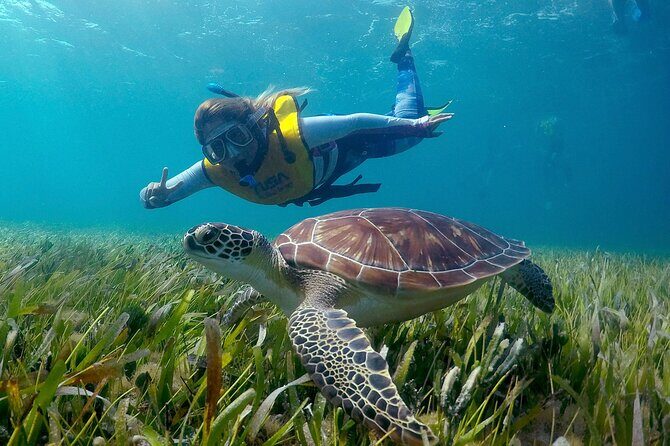 Cancun Snorkeling Adventure: Underwater Museum, Reef & Shipwreck - The Itinerary in Detail