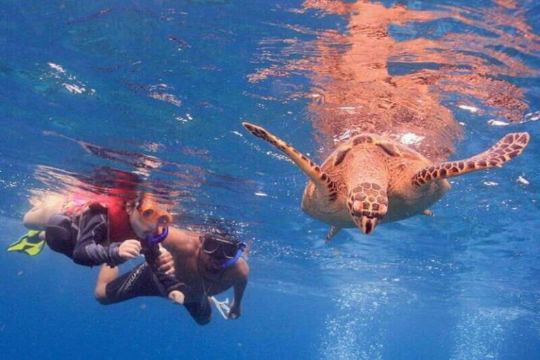 Cancun: Snorkeling at Underwater Museum & Manchones Reef - The Sum Up