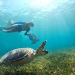 Cancun Snorkeling Tour: Swim with Turtles, Reef, Underwater Museum and Shipwreck - The Sum Up
