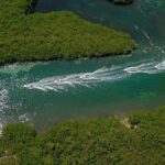 Cancun speedboat and snorkel tour: shared speedboat - The Authentic Touch: What Travelers Say