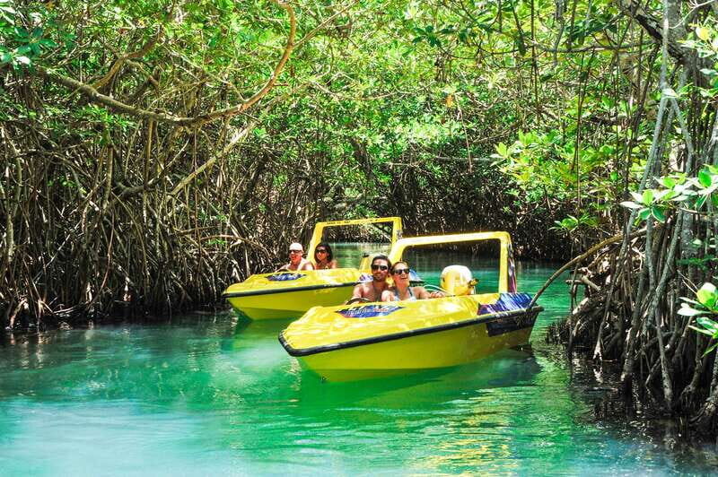 Cancun: Speedboat Mangrove Jungle & Snorkel Tour - Real Talk: Pros and Cons from Travelers