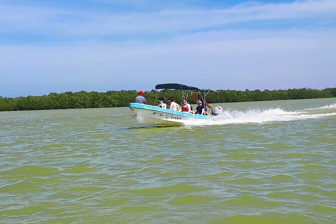 Cancun tour Las Coloradas Pink Lagoon + Rio Lagartos Tour - Detailed Review of the Tour Experience