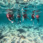 Cancun: Tulum Ruins, Akumal Turtles, Cenote & Caves Tour - What Makes This Tour Stand Out?