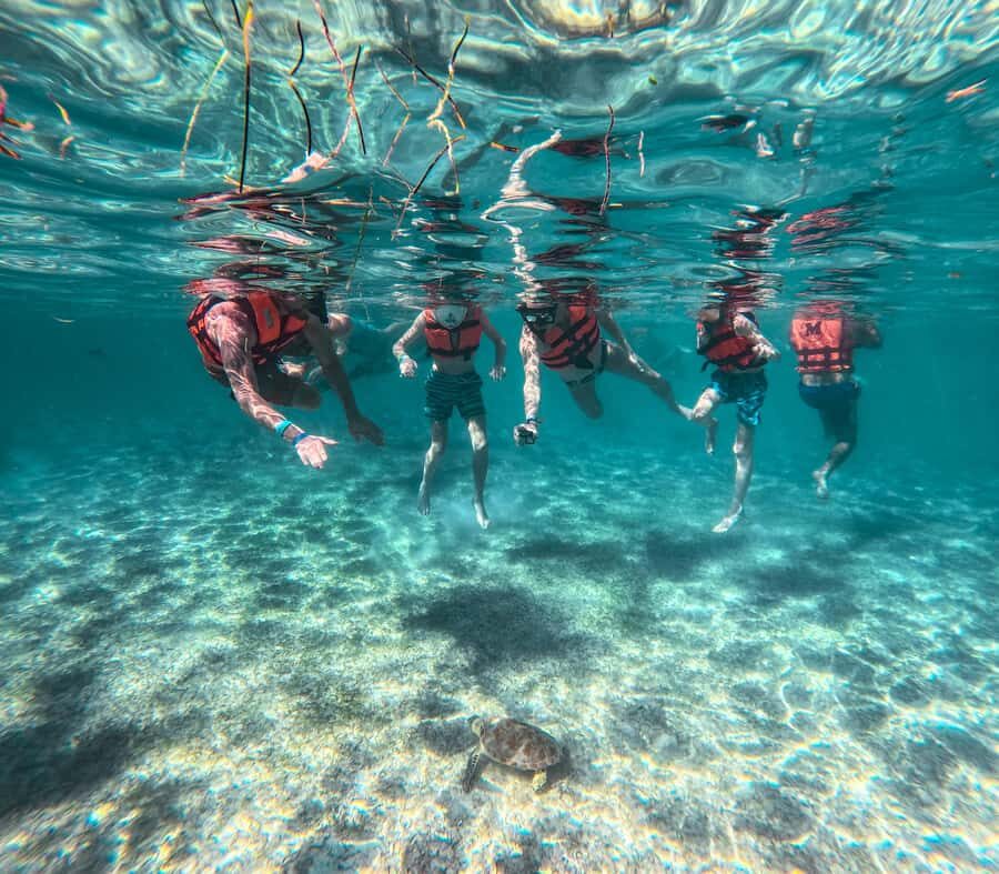 Cancun: Tulum Ruins, Akumal Turtles, Cenote & Caves Tour - What Makes This Tour Stand Out?