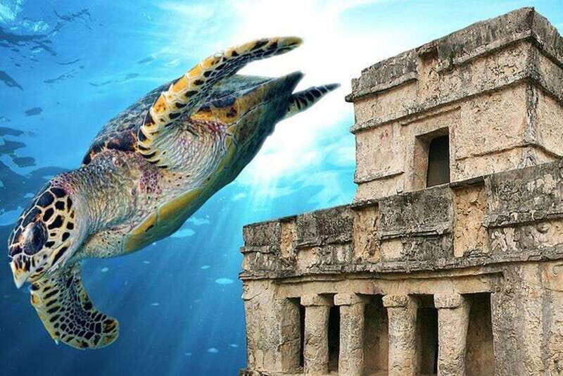 Cancun: Tulum Ruins & Snorkeling with Sea Turtles Tour - Final Thoughts