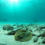 Cancun Ultimate Adventure: ATV's, Snorkeling & Zip Lines - Analyzing the Value