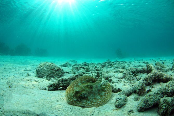 Cancun Ultimate Adventure: ATV's, Snorkeling & Zip Lines - Analyzing the Value