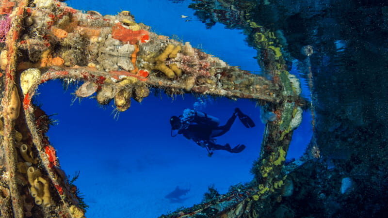 Cancún: Wreck and Reef for Certified Scuba Divers - Who Will Love This Tour?