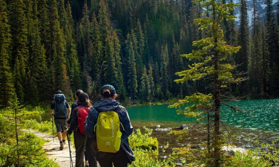 Canmore/Banff: Premium hiking tours in Banff region - Who Will Love This Tour?