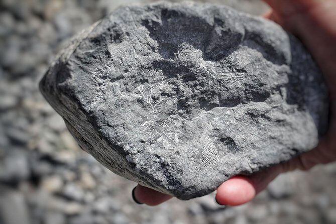 Canmore Caving Explorer Tour - The Sum Up: Who Should Consider This Tour?