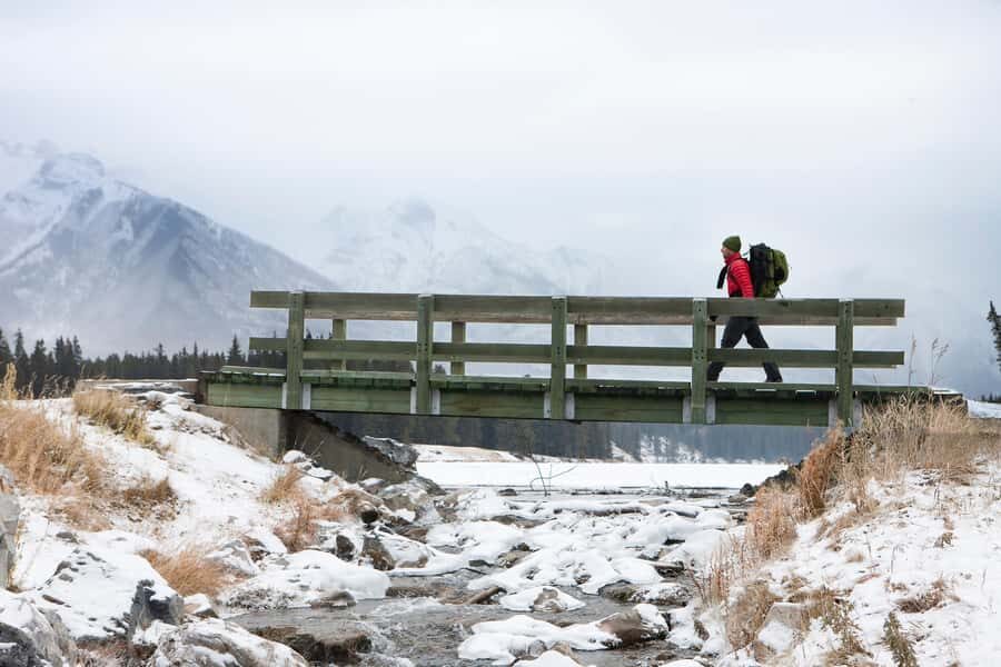 Canmore: Columbia Icefield Tour with Lunch & Hikes - First Stop: Bow Lake and Crowfoot Glacier