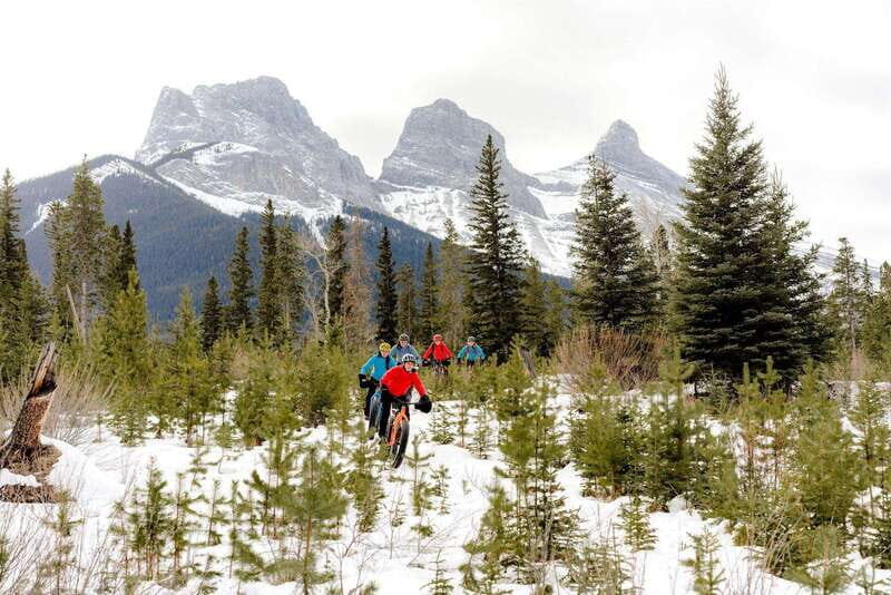 Canmore: Explore Winter Wildlife Tracks - 2hr Nature Walk - A Close Look at the Experience