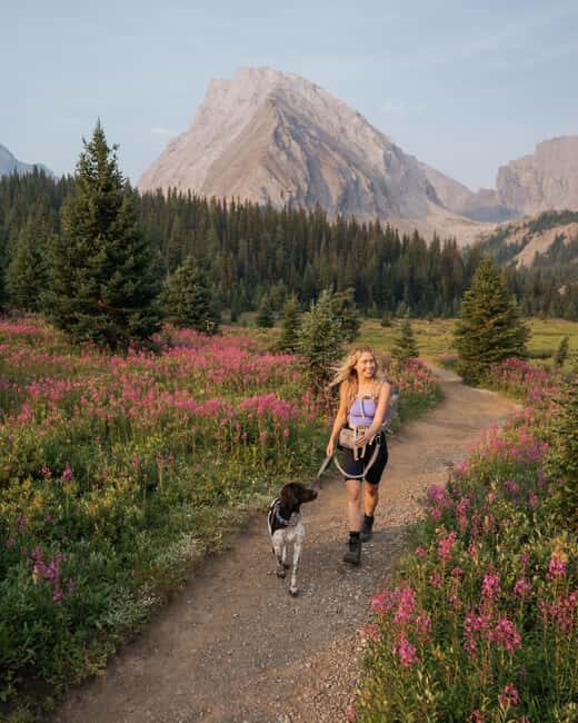 Canmore: Medicinal and Edible Plants, 2-hour Nature Walk - The Detailed Itinerary