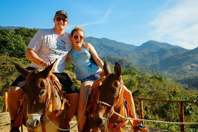 Canopy River Zipline Tour and Mule Ride - The Itinerary — What to Expect