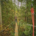 Canopy Tour at Haliburton Forest - Practical Tips for Travelers