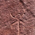 Canyon Combo Tours - Authentic Experiences and Real Traveler Feedback