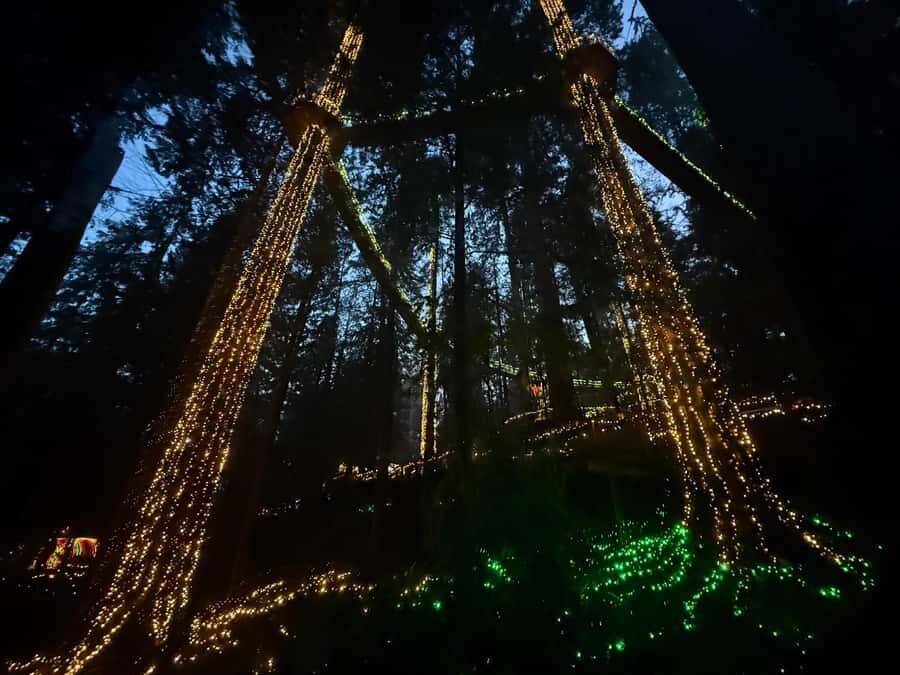 CANYON LIGHTS+Capilano Suspension Bridge/Small Group/CAR - Who Will Love This Tour?